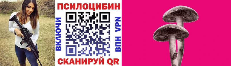 Галлюциногенные грибы GOLDEN TEACHER  Николаевск-на-Амуре 