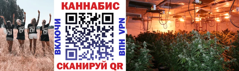 нарко площадка клад Николаевск-на-Амуре Бошки Шишки THC 21%